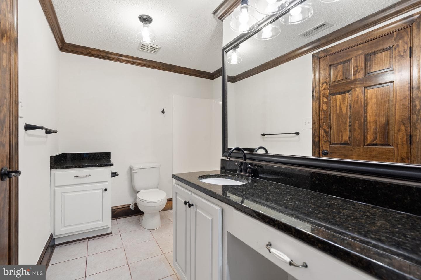 18464 Snaffle Lane photo 53