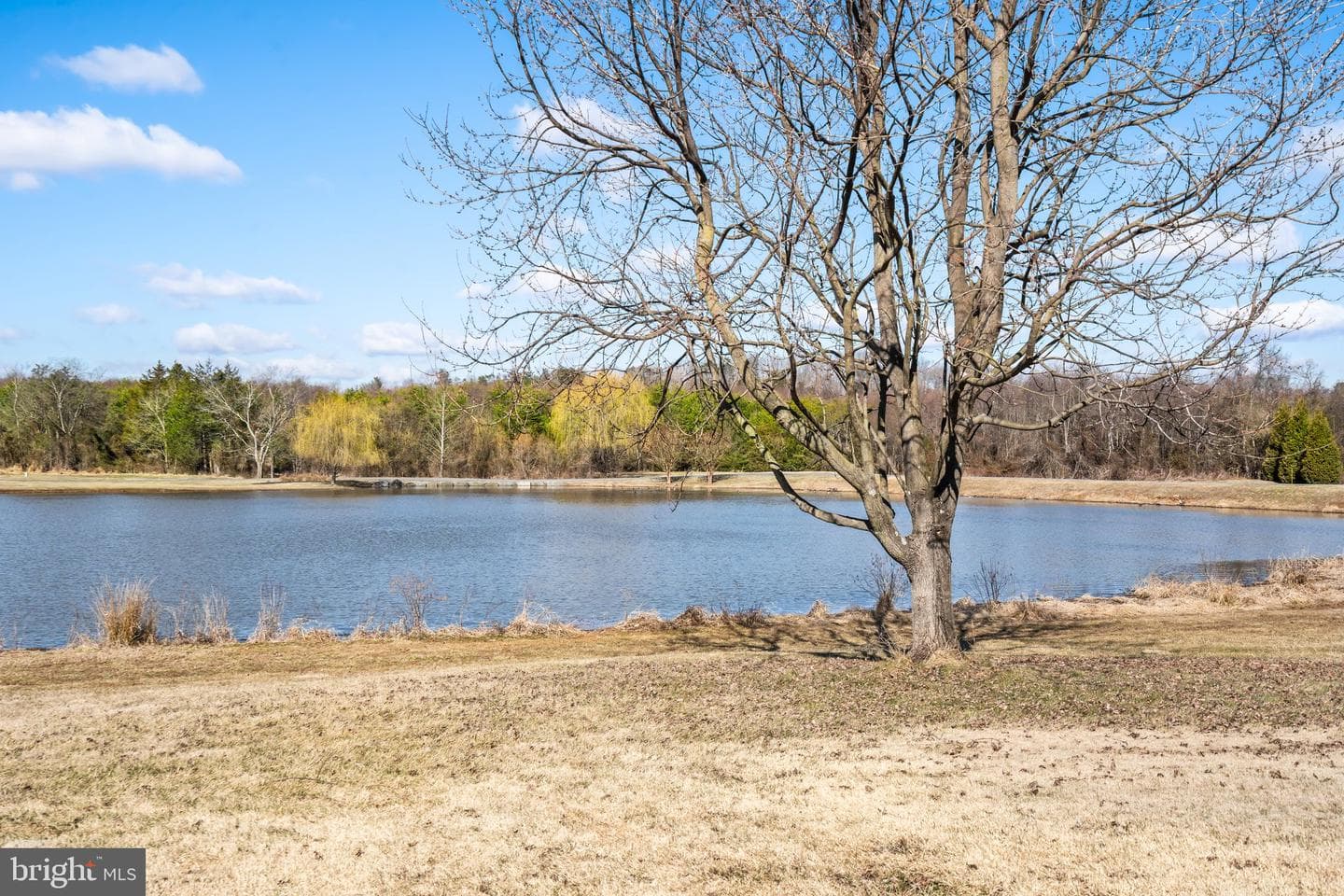 18464 Snaffle Lane photo 9