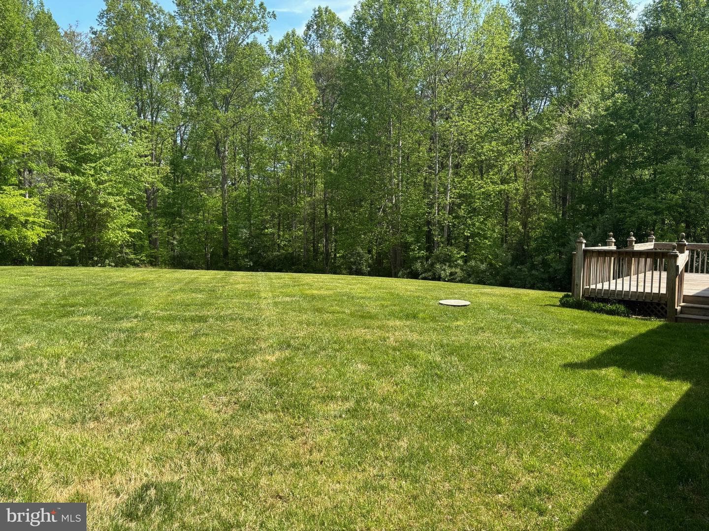7857 Hazeland Lane photo 26
