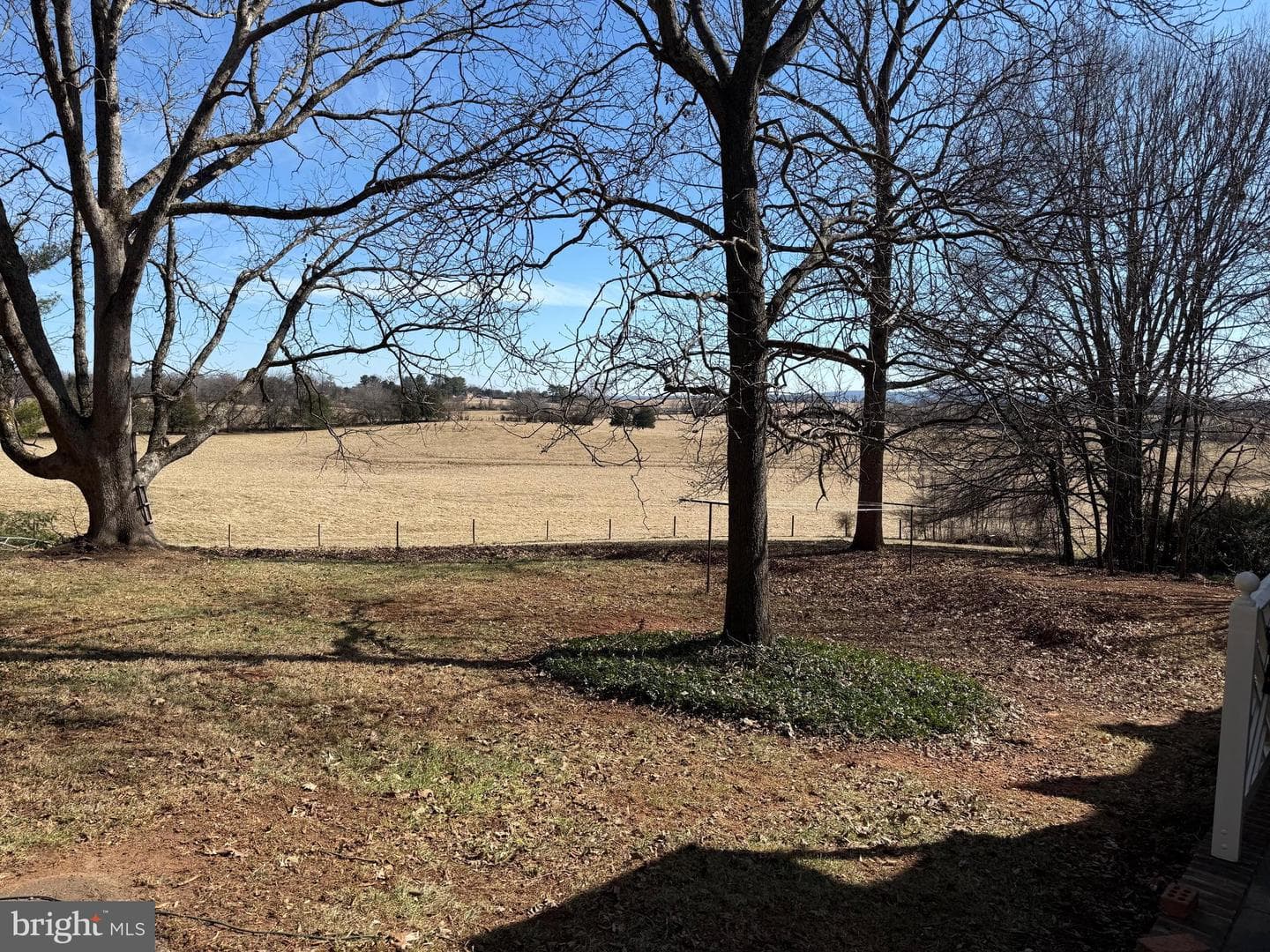 19389 Woods Road photo 3