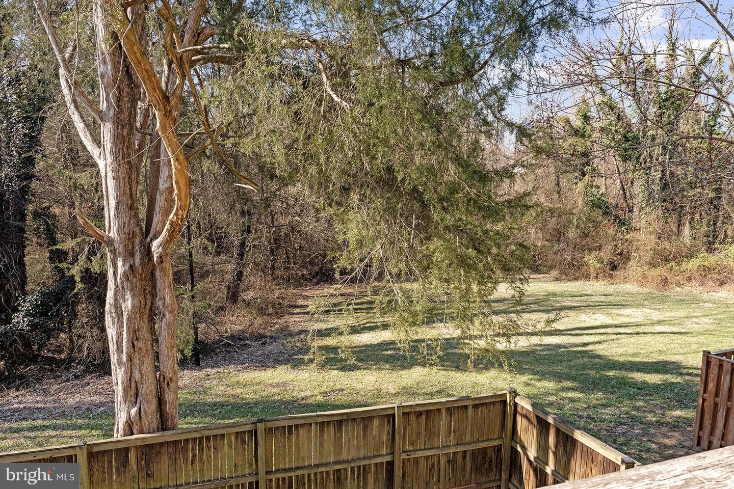 355 Snyder Lane photo 22