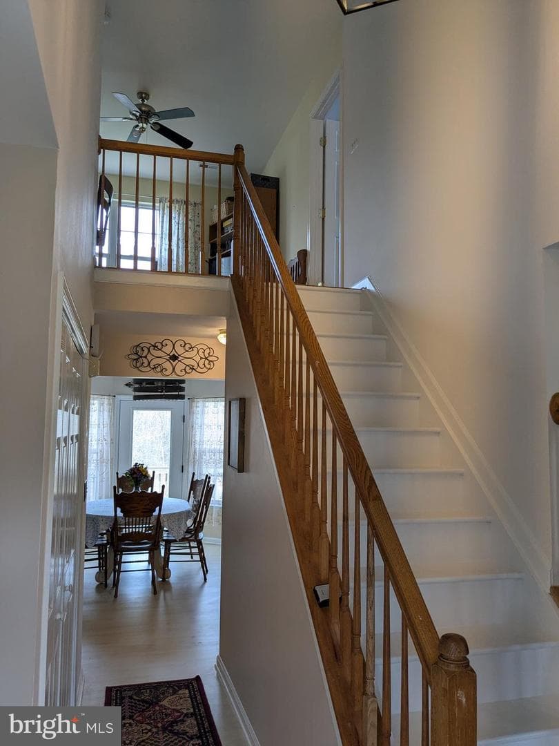 25093 Rodriguez Lane photo 10