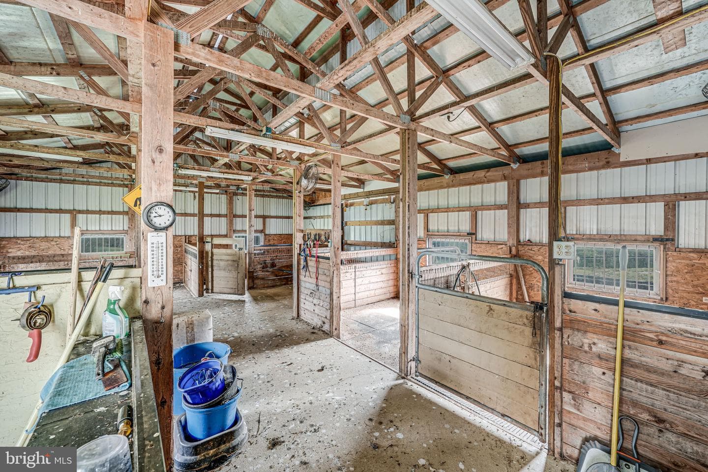 18061 Youngs Lane photo 50