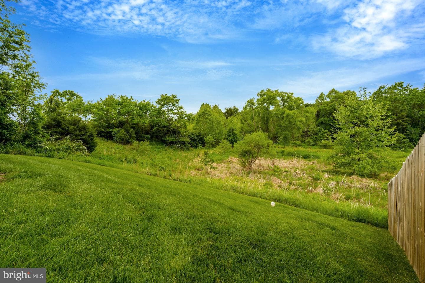 18046 Lakeford Drive photo 58