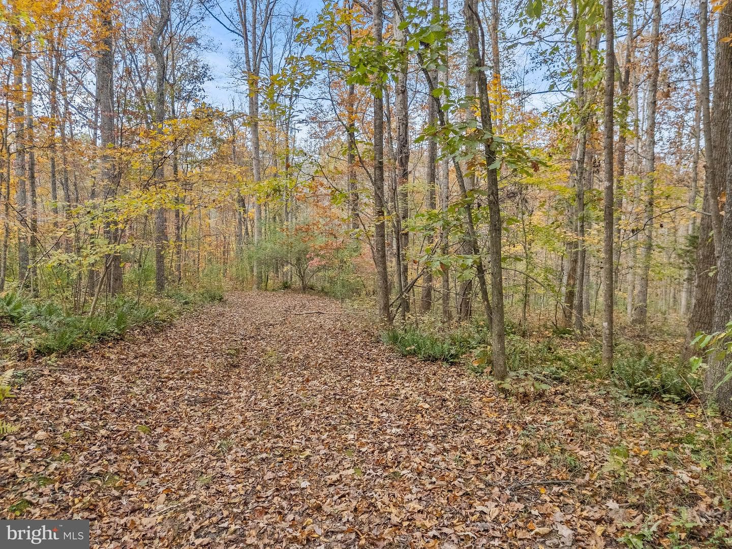 4162 Pinewood Lane photo 74