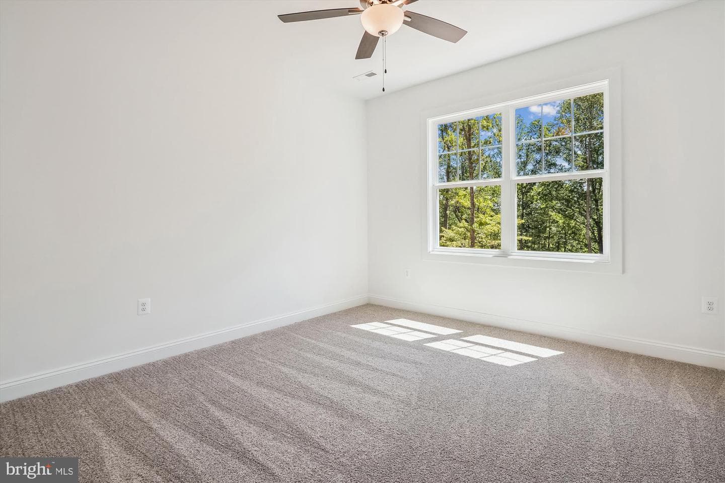 Lot 8b Camden Lane photo 32
