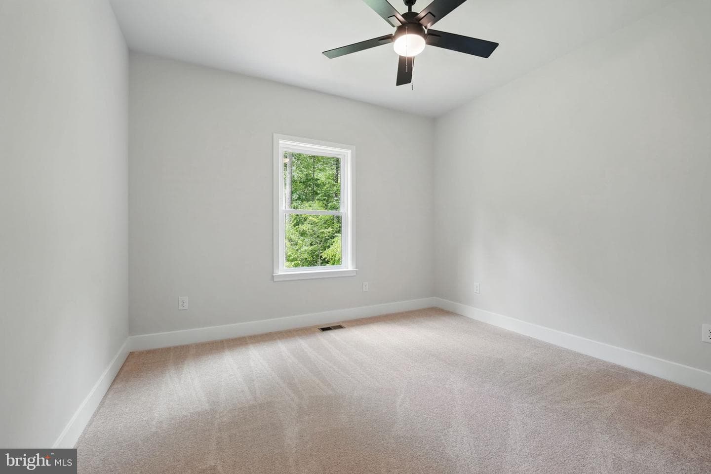 16355 Black Hill Road photo 27