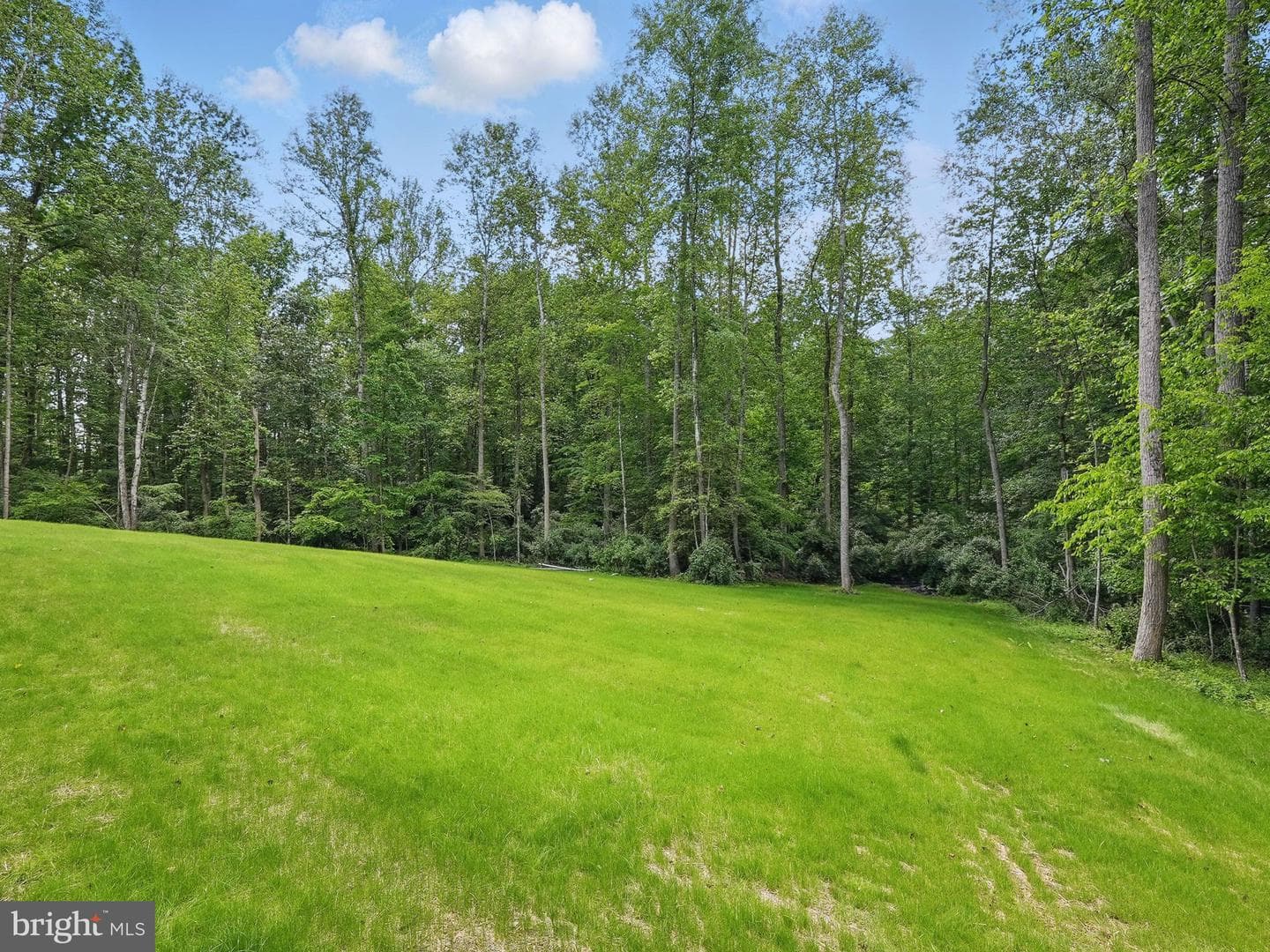 16355 Black Hill Road photo 7