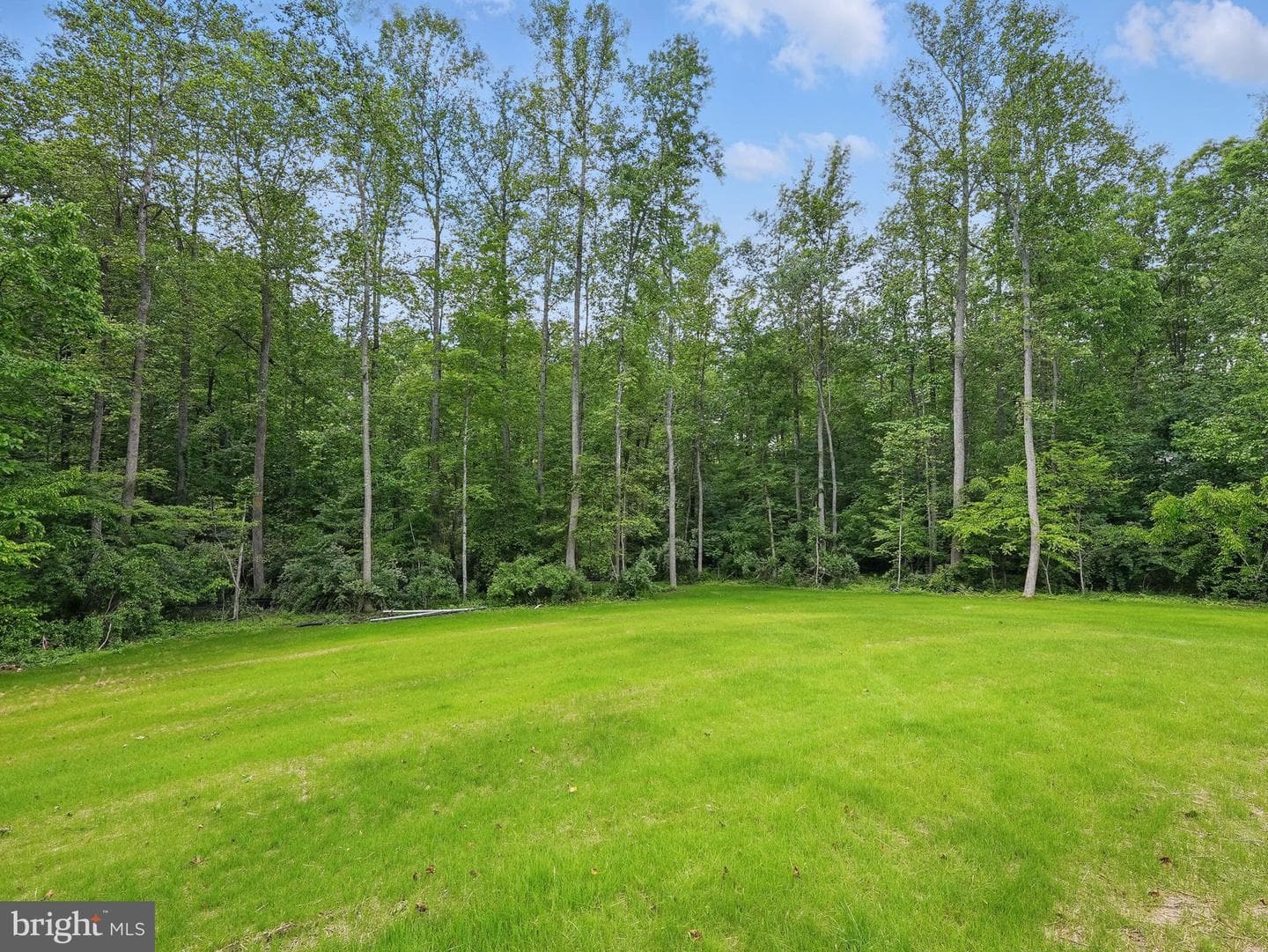 16355 Black Hill Road photo 8