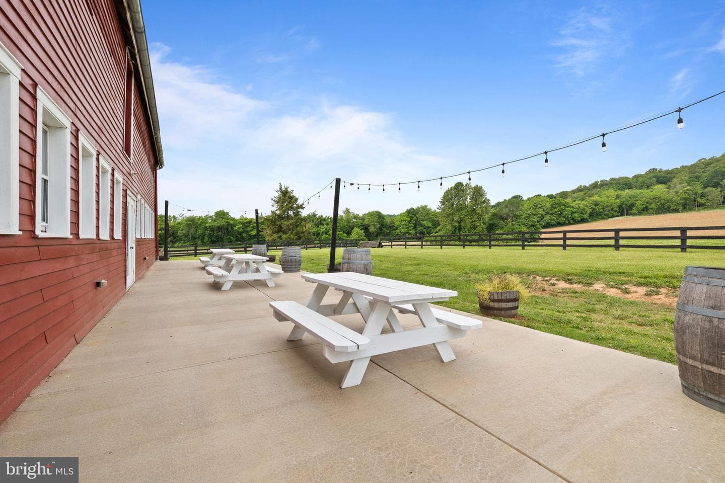 23350 Cedar Mountain Drive photo 87