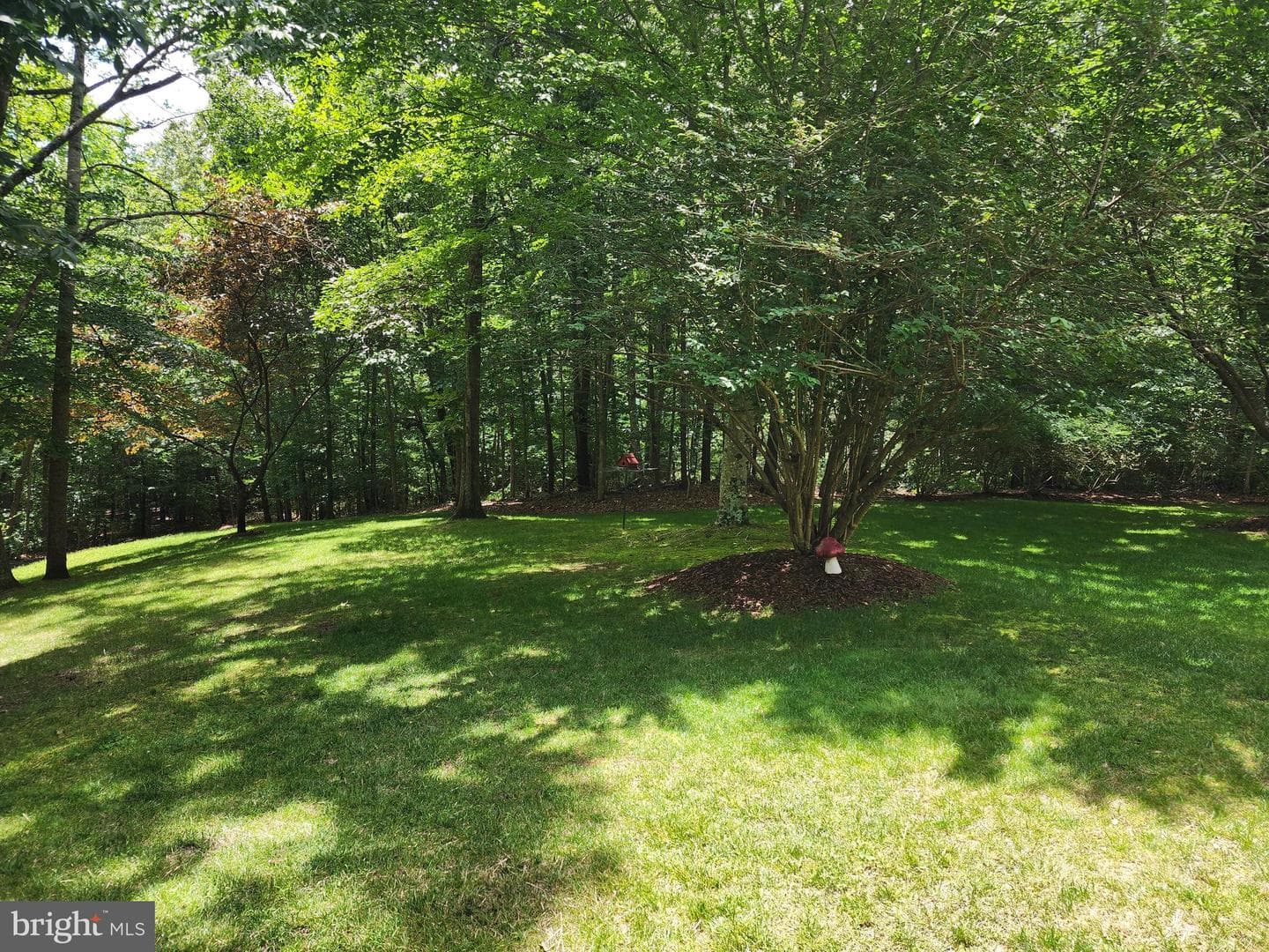15545 Covey Circle photo 53