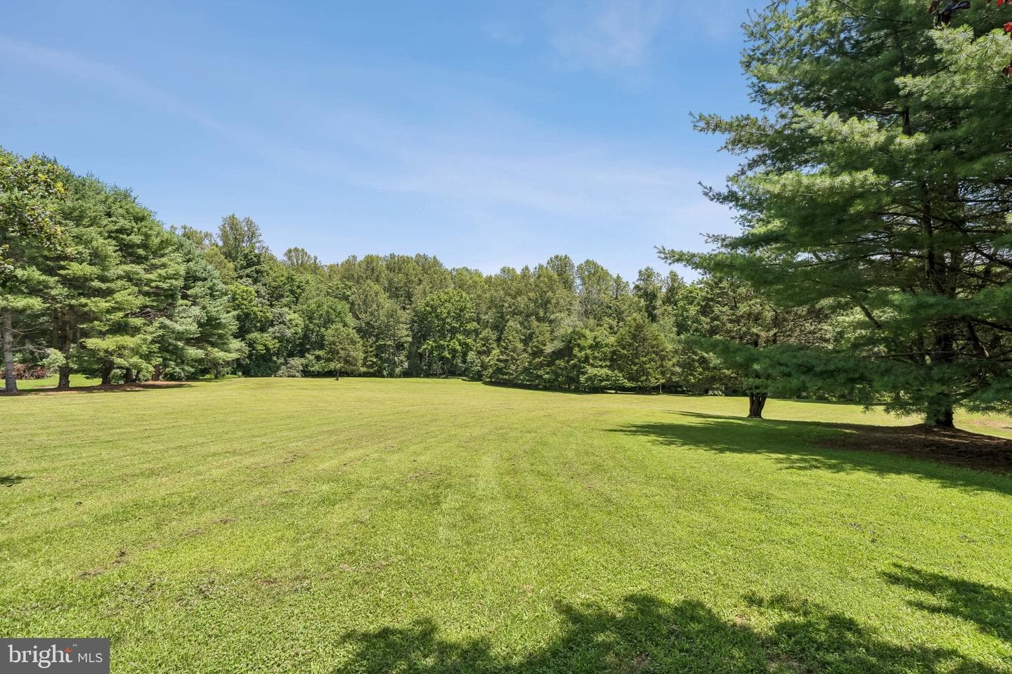 16289 Quail Ridge Drive photo 4