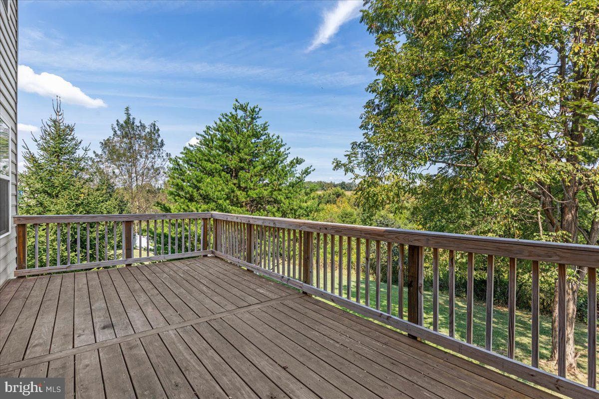 12025 Live Oak Drive photo 19