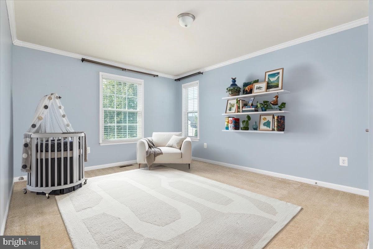 12025 Live Oak Drive photo 23