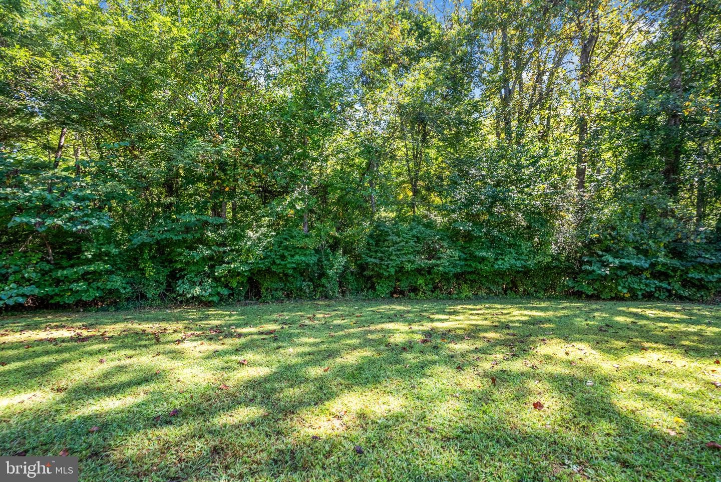1229 Jason Lane photo 56