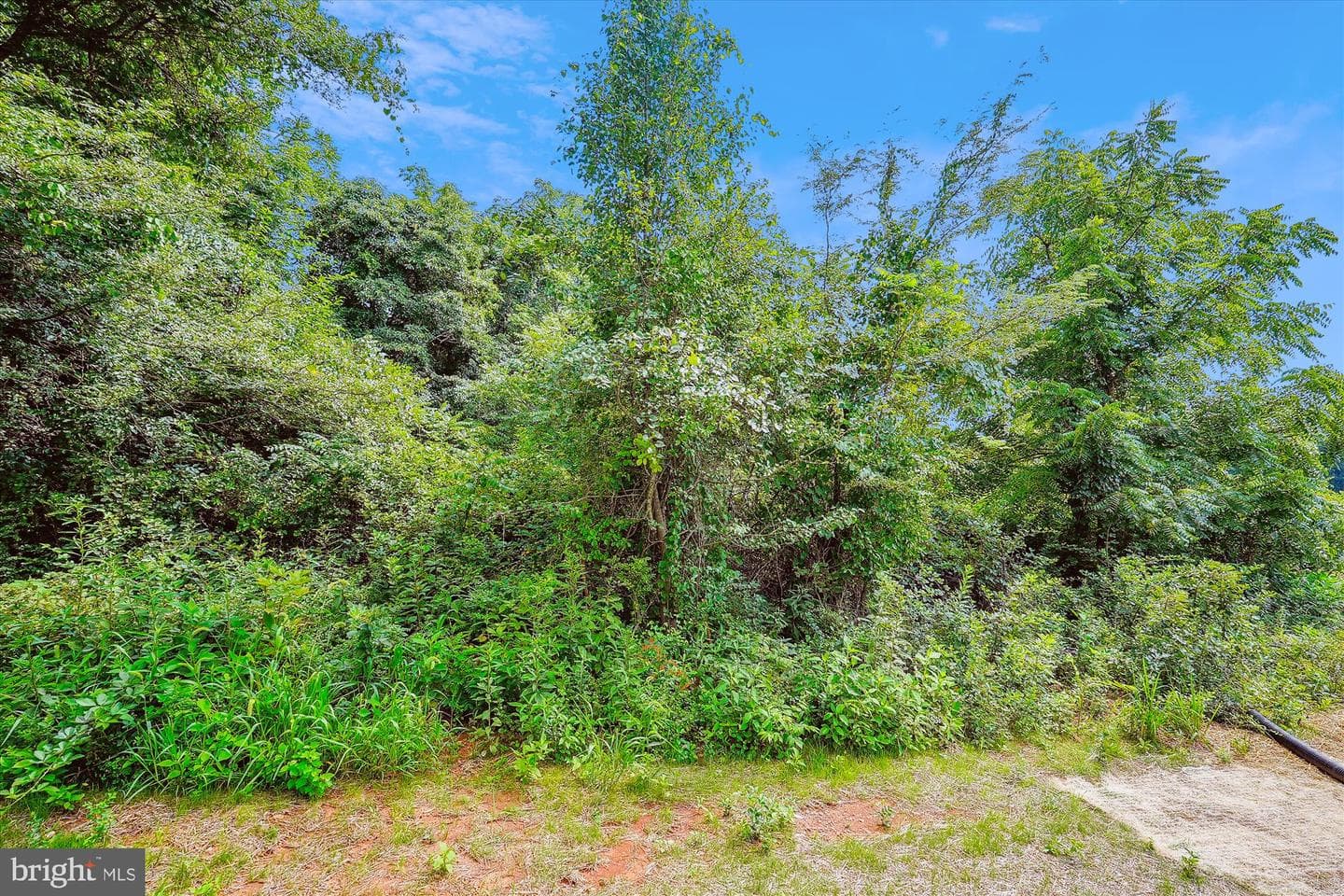 Lot 20a Eggbornsville Road photo 12