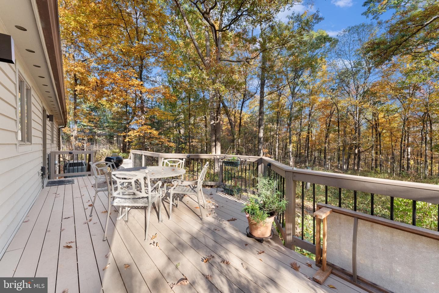 15544 Norman photo 17