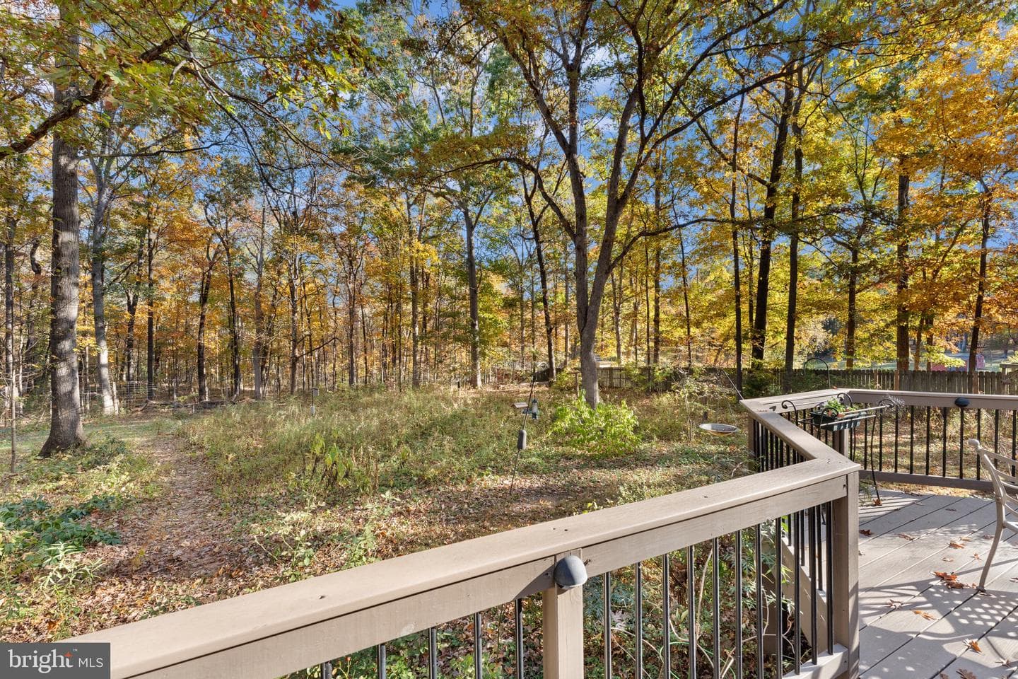 15544 Norman photo 19