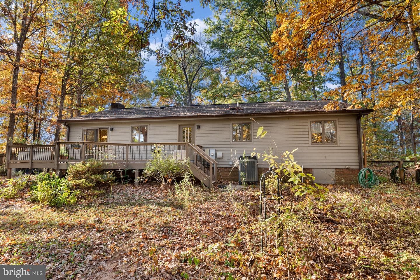15544 Norman photo 20