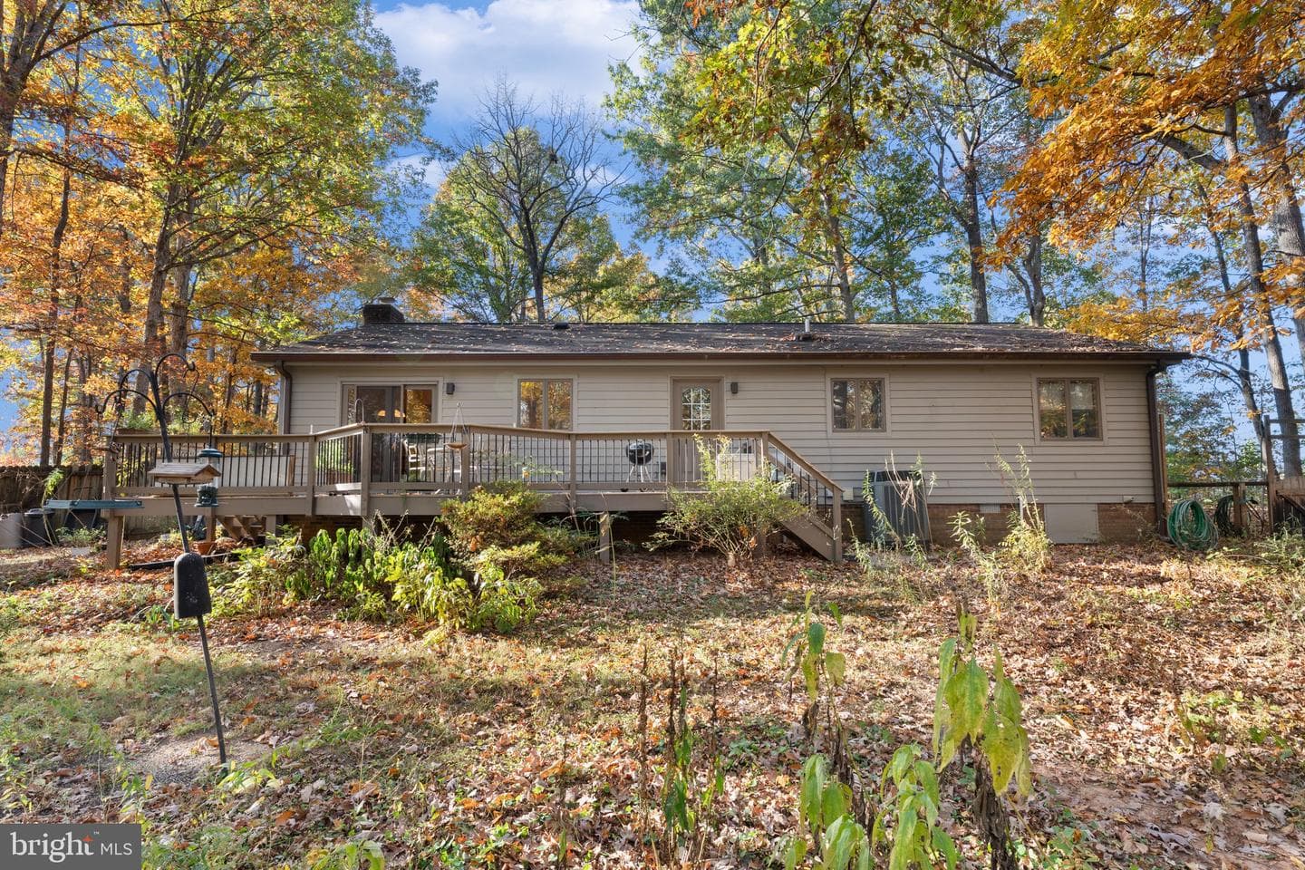 15544 Norman photo 21
