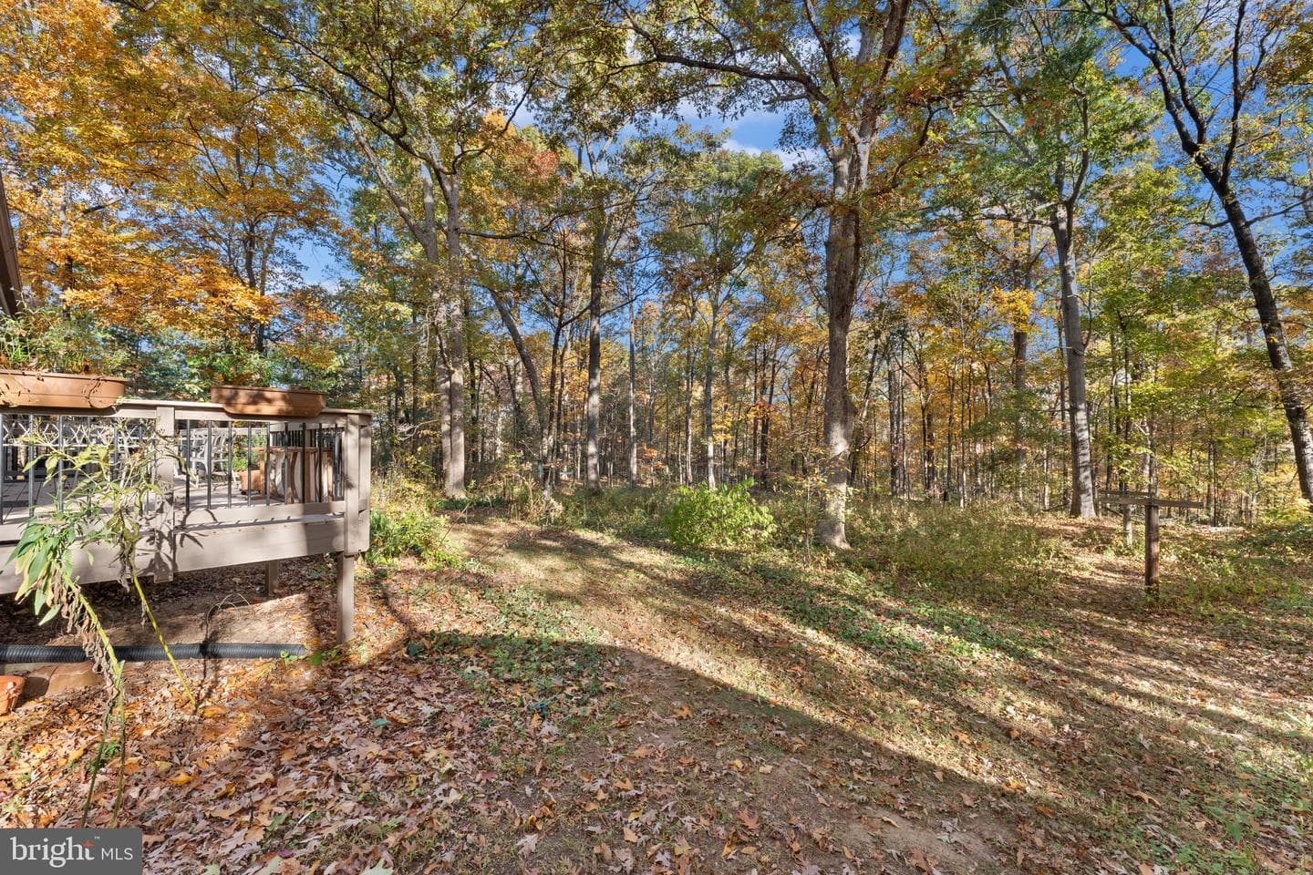 15544 Norman photo 23