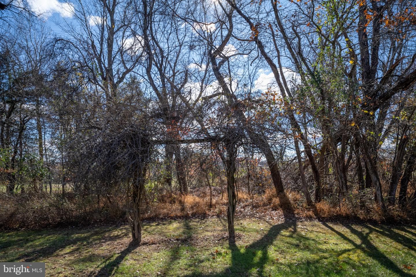 14028 Dutch Drive photo 74