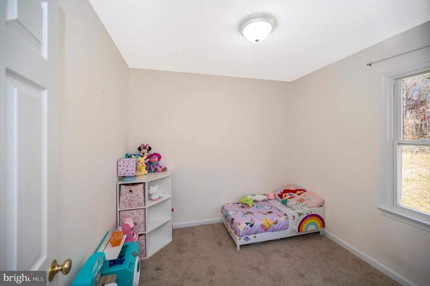 9577 Roys Lane photo 17