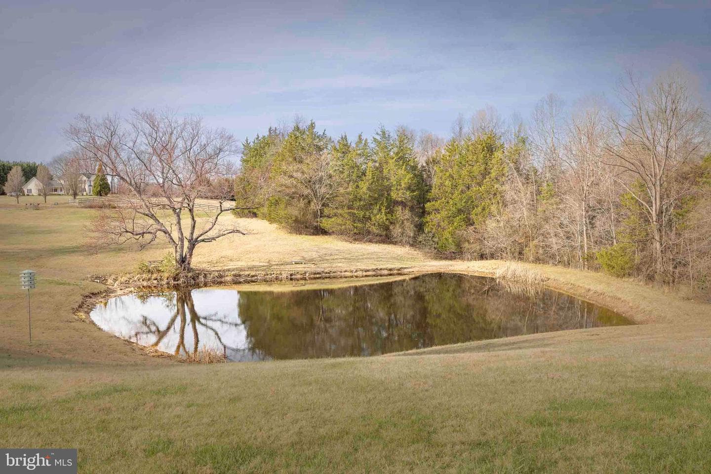 10497 Buchanan Lane photo 13