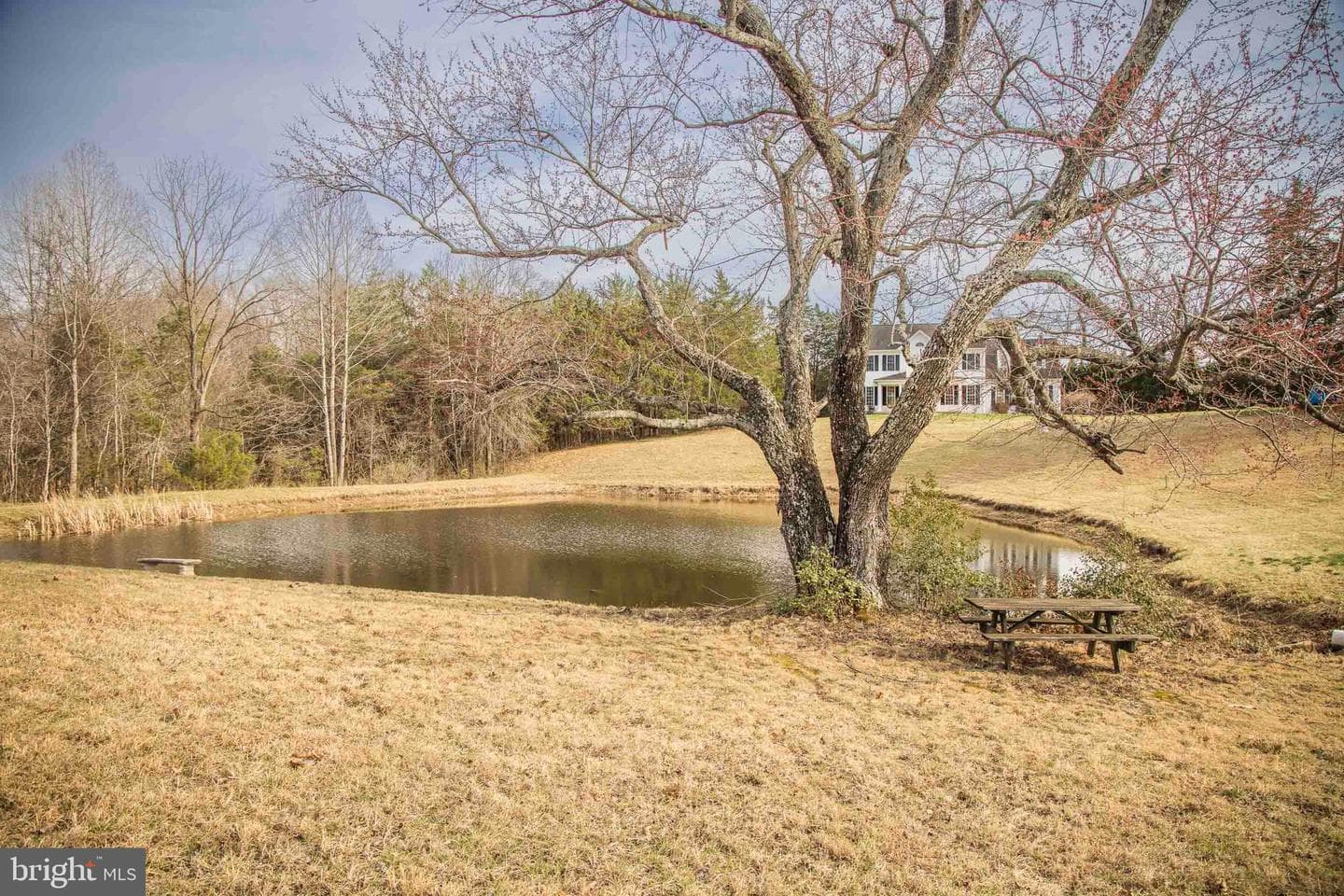 10497 Buchanan Lane photo 14