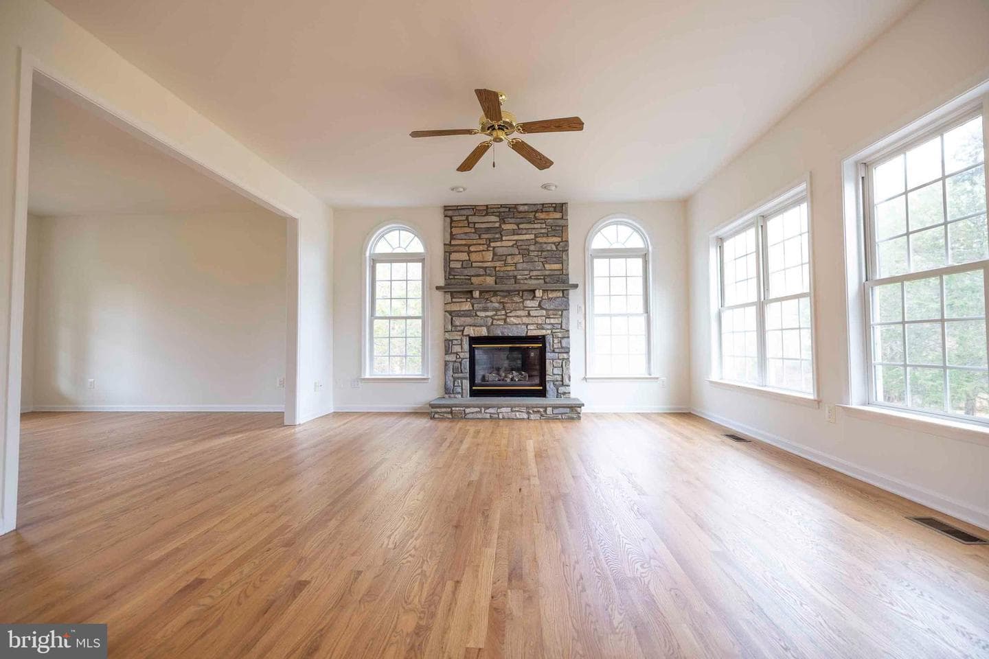 10497 Buchanan Lane photo 16