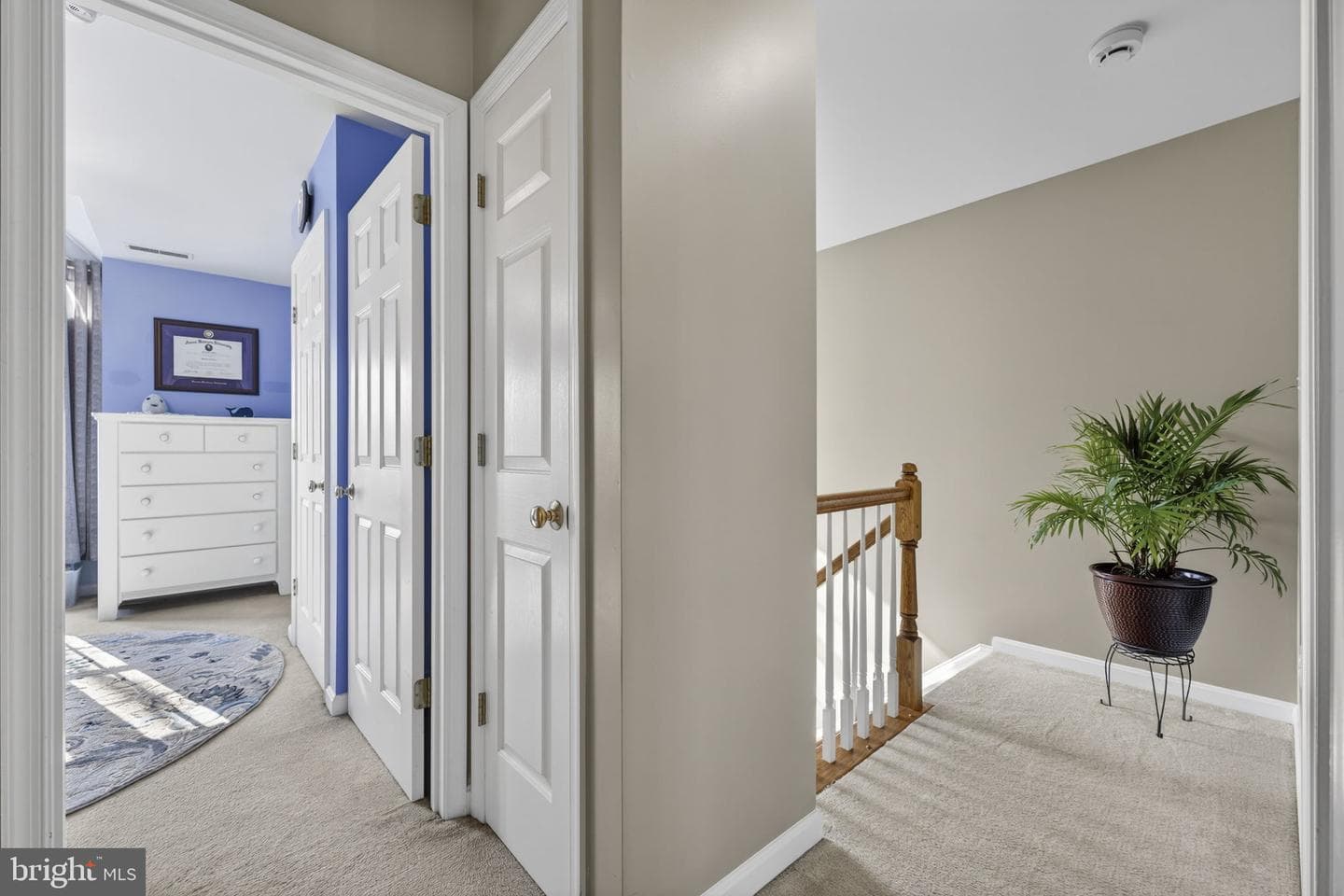 12376 Robin Road photo 41