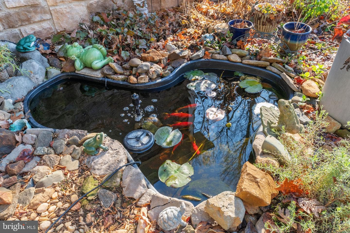 12376 Robin Road photo 8