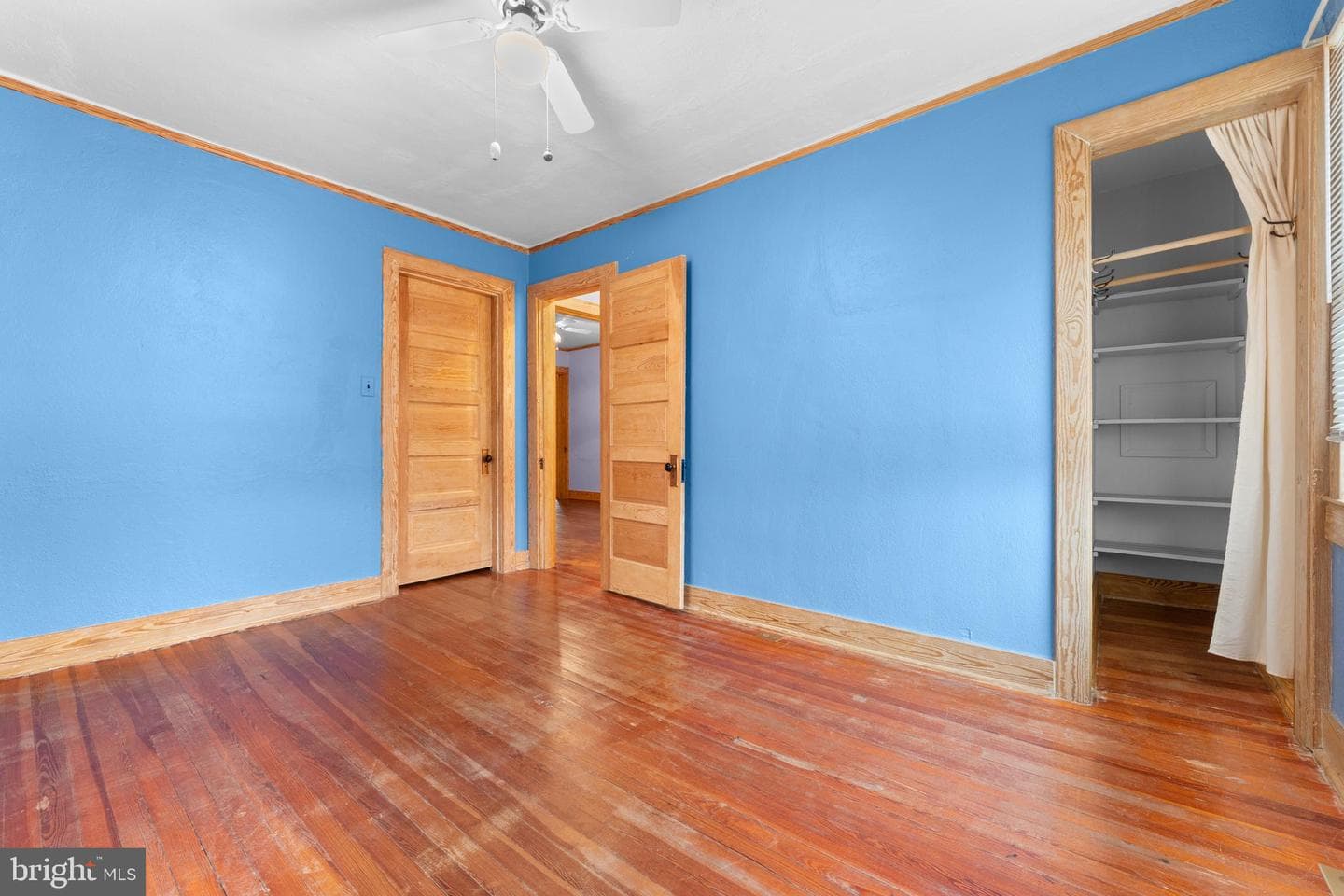 210 Elizabeth Street photo 17