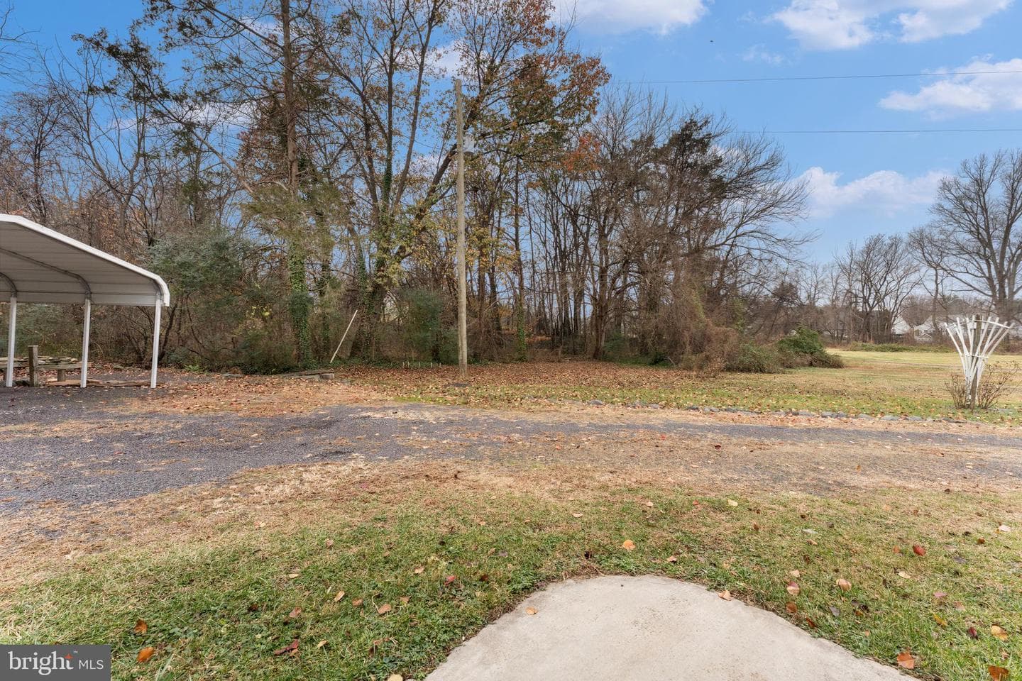 210 Elizabeth Street photo 43