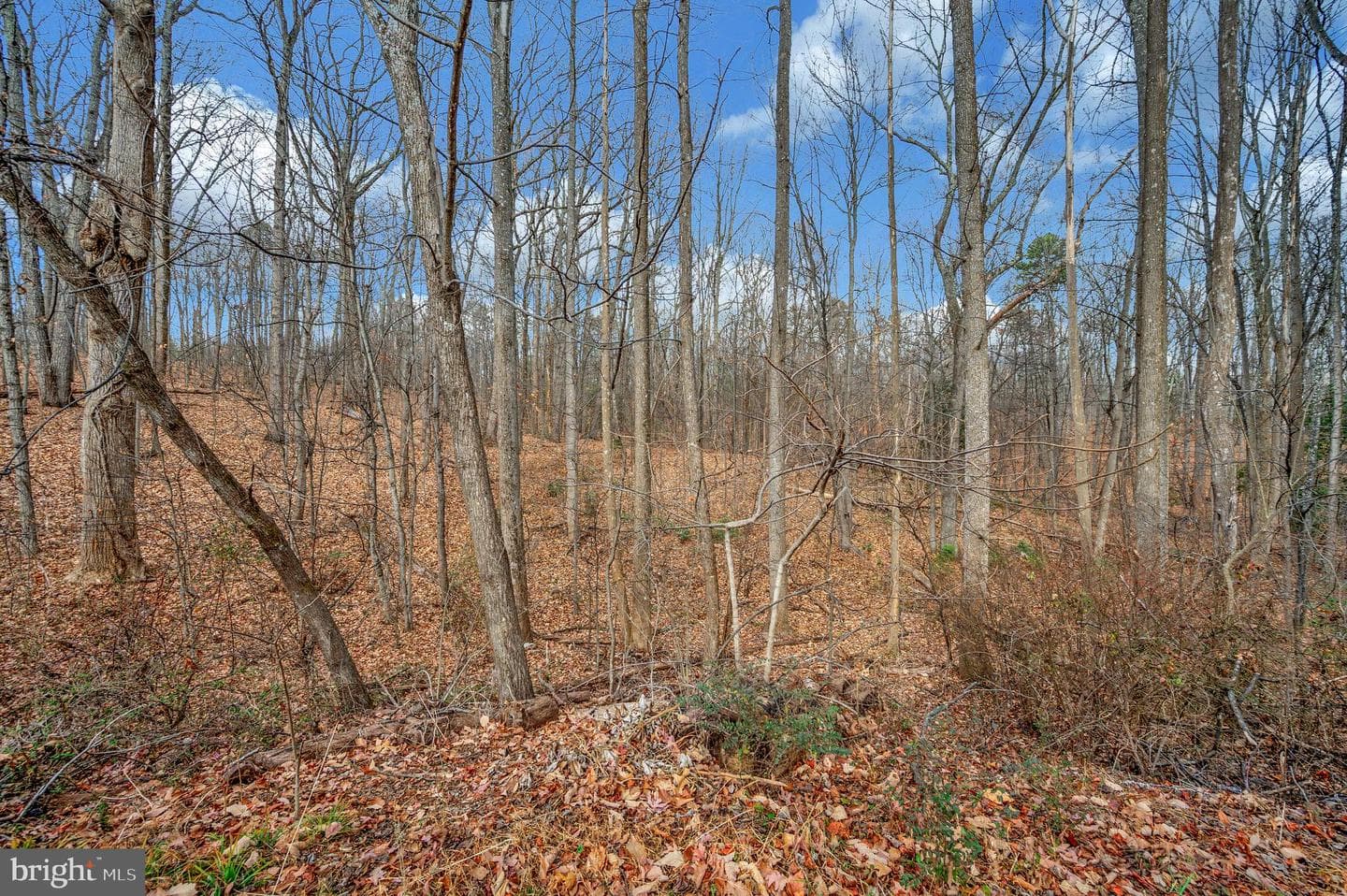 8445 James Monroe Highway photo 51