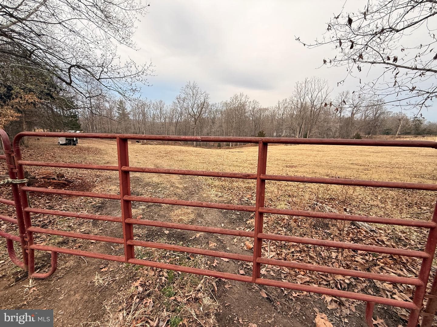 13523 Gray Horse Lane photo 26