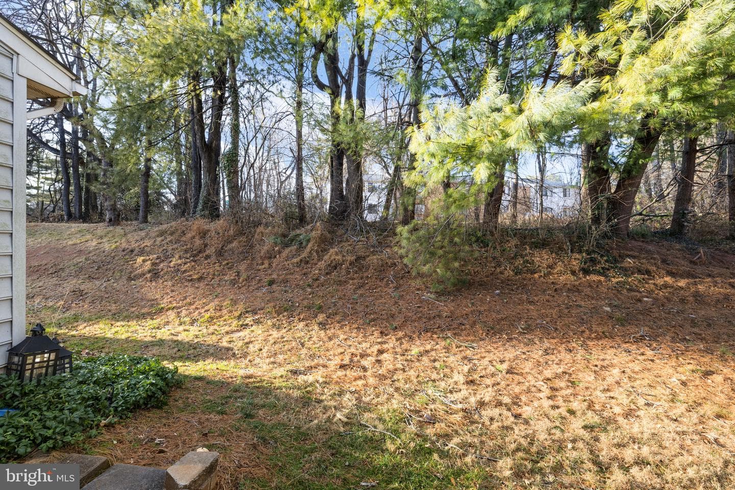 820 Ripplebrook Drive photo 26