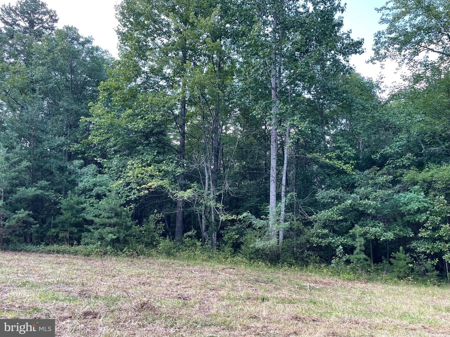 17464 Executive Lane photo 11