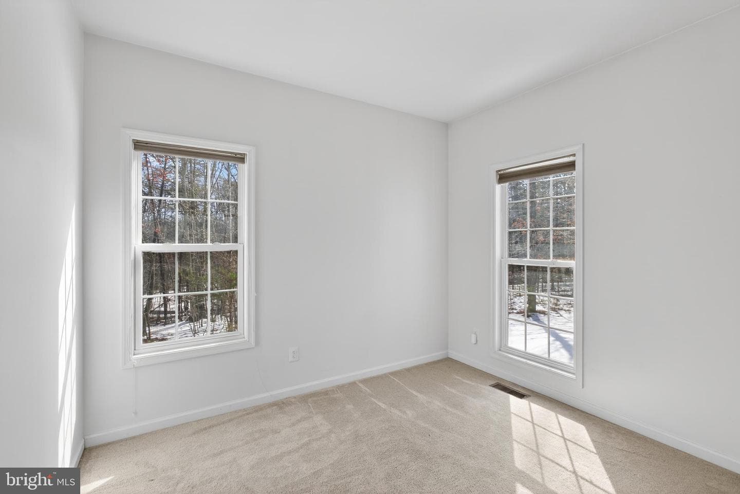 18020 Albert Drive photo 19