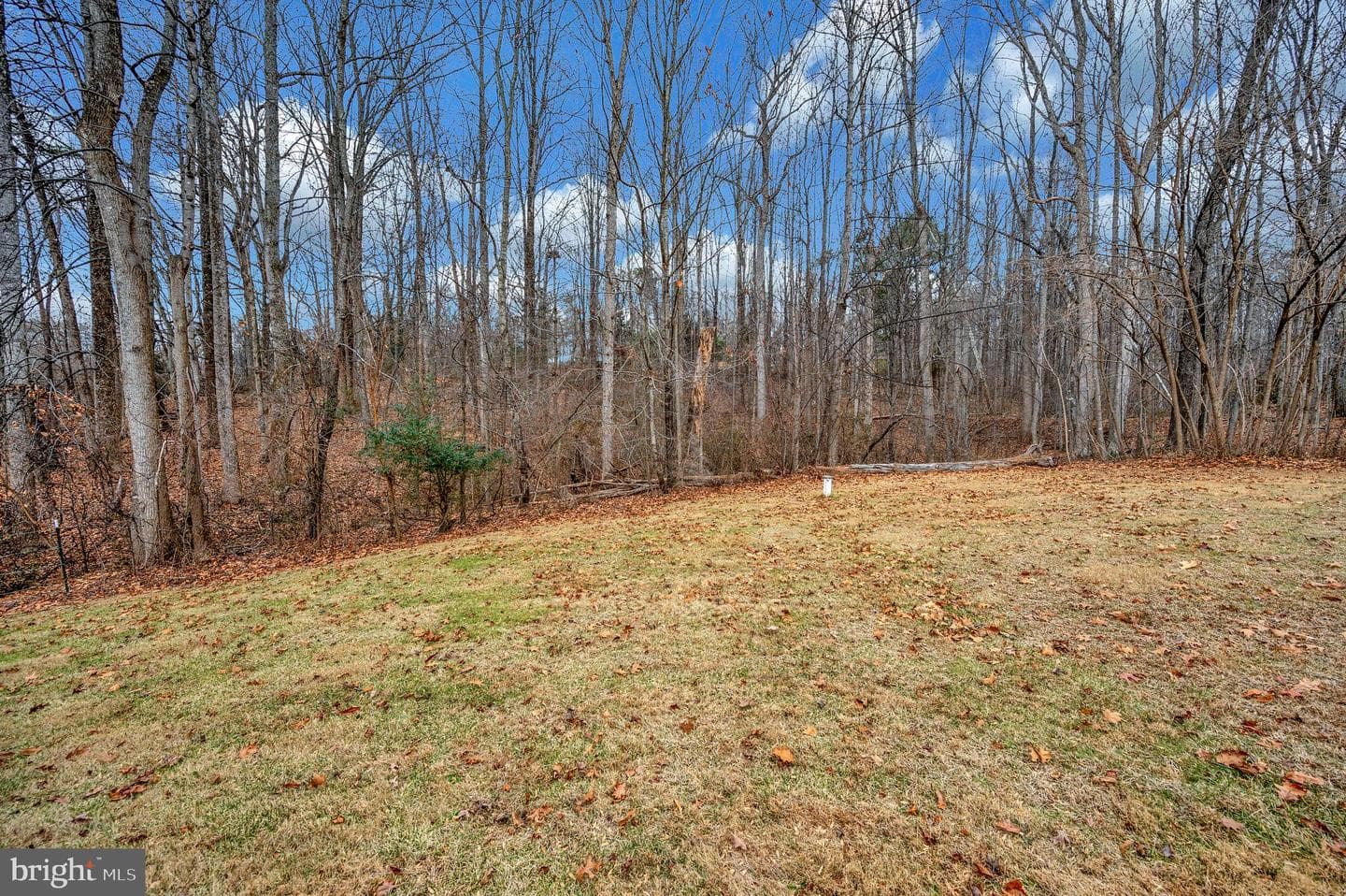 16008 Bruces Lane photo 56
