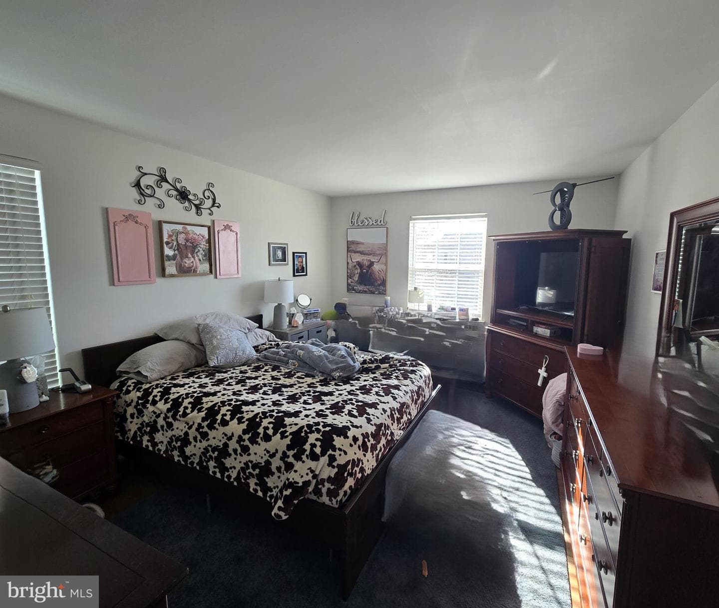 12203 Salt Cedar Lane photo 23