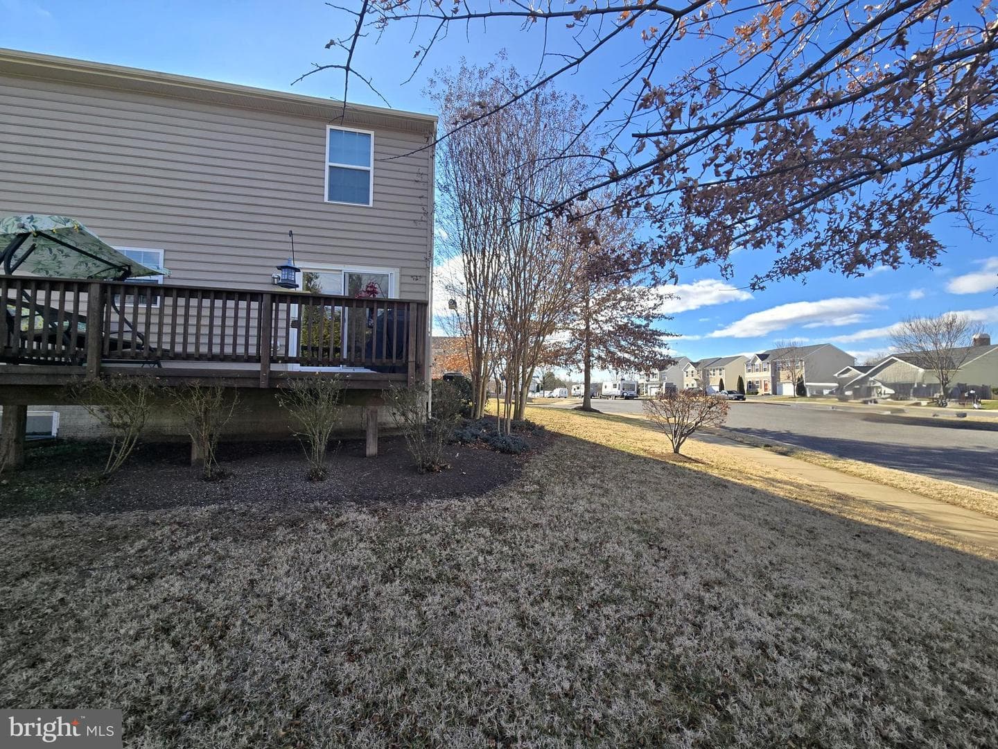 12203 Salt Cedar Lane photo 37