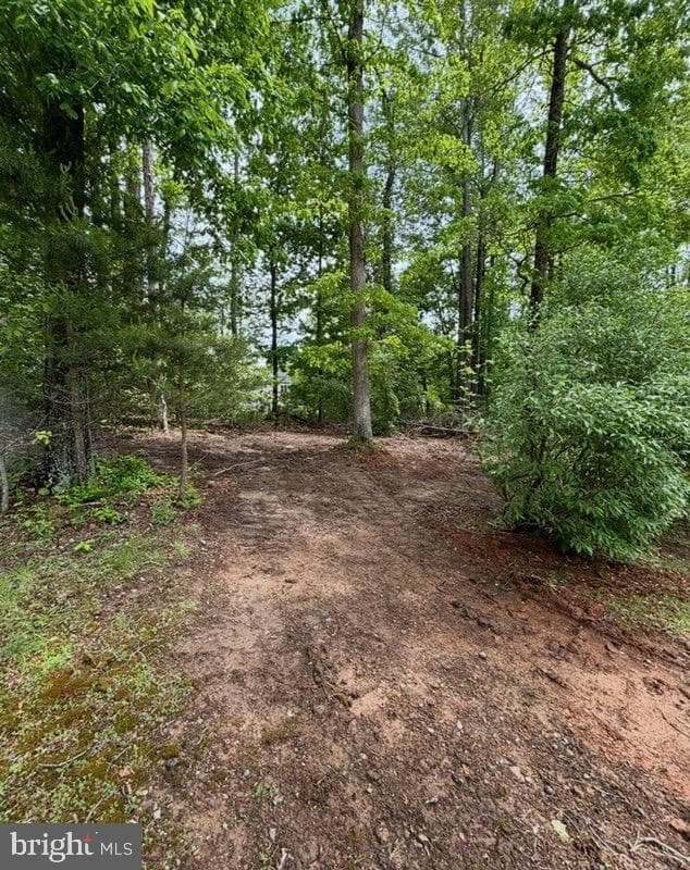 3417 Bear Pond Lane photo 54