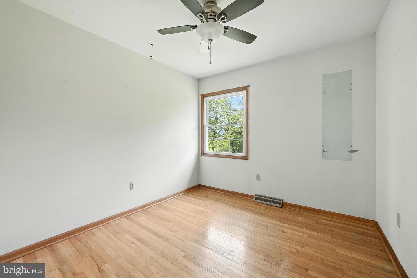 18172 Youngs Lane photo 20