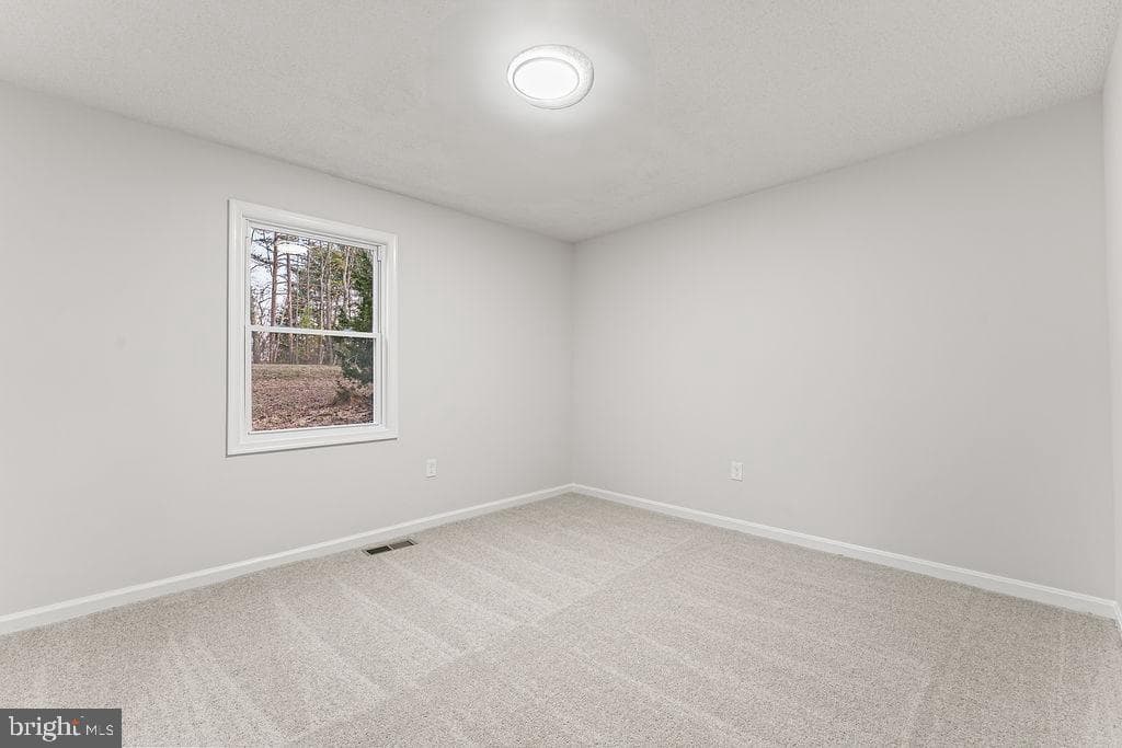 13162 Scotts Mill Road photo 20
