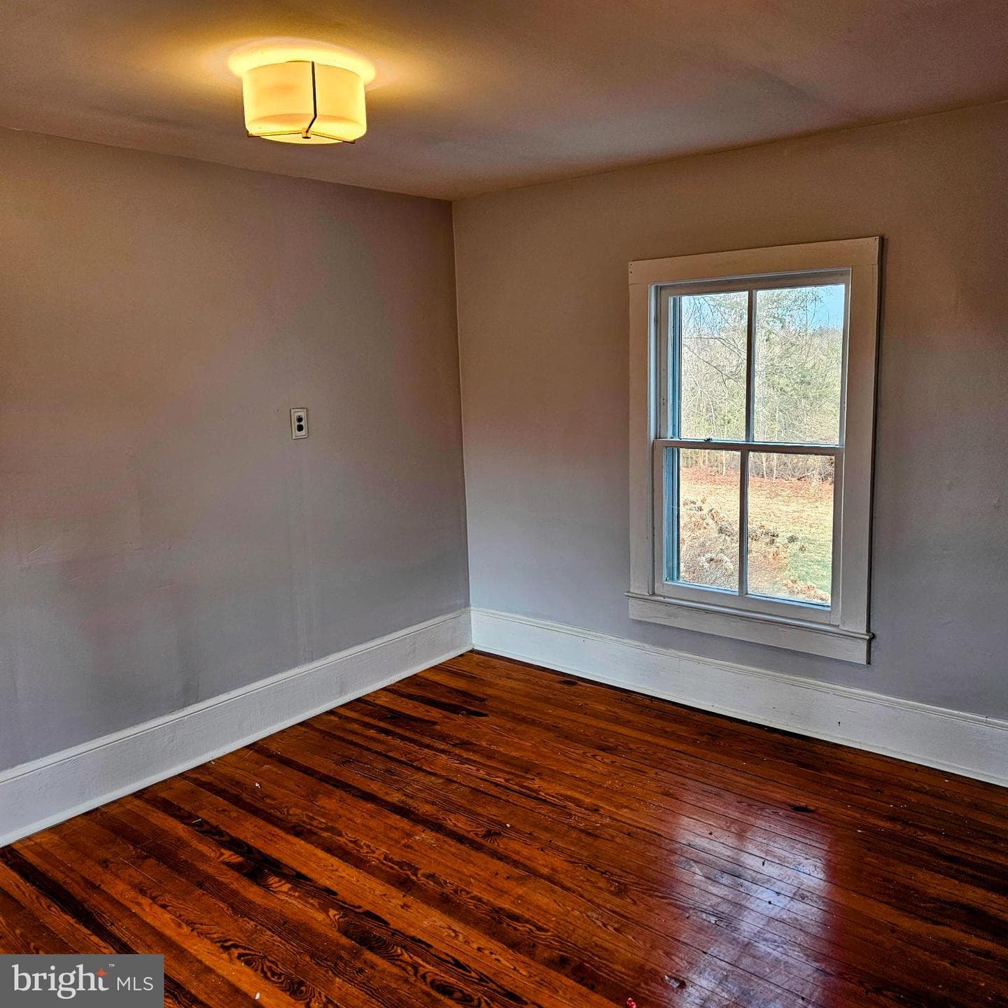 15660 Reva Road photo 40