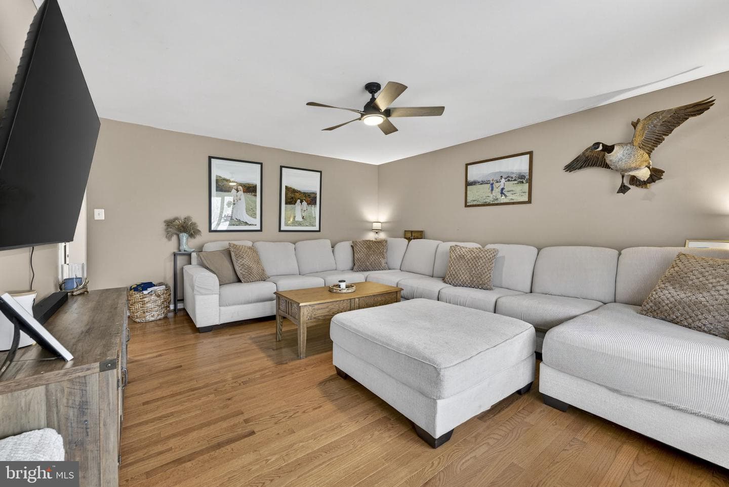 12660 Hazel River Road photo 14