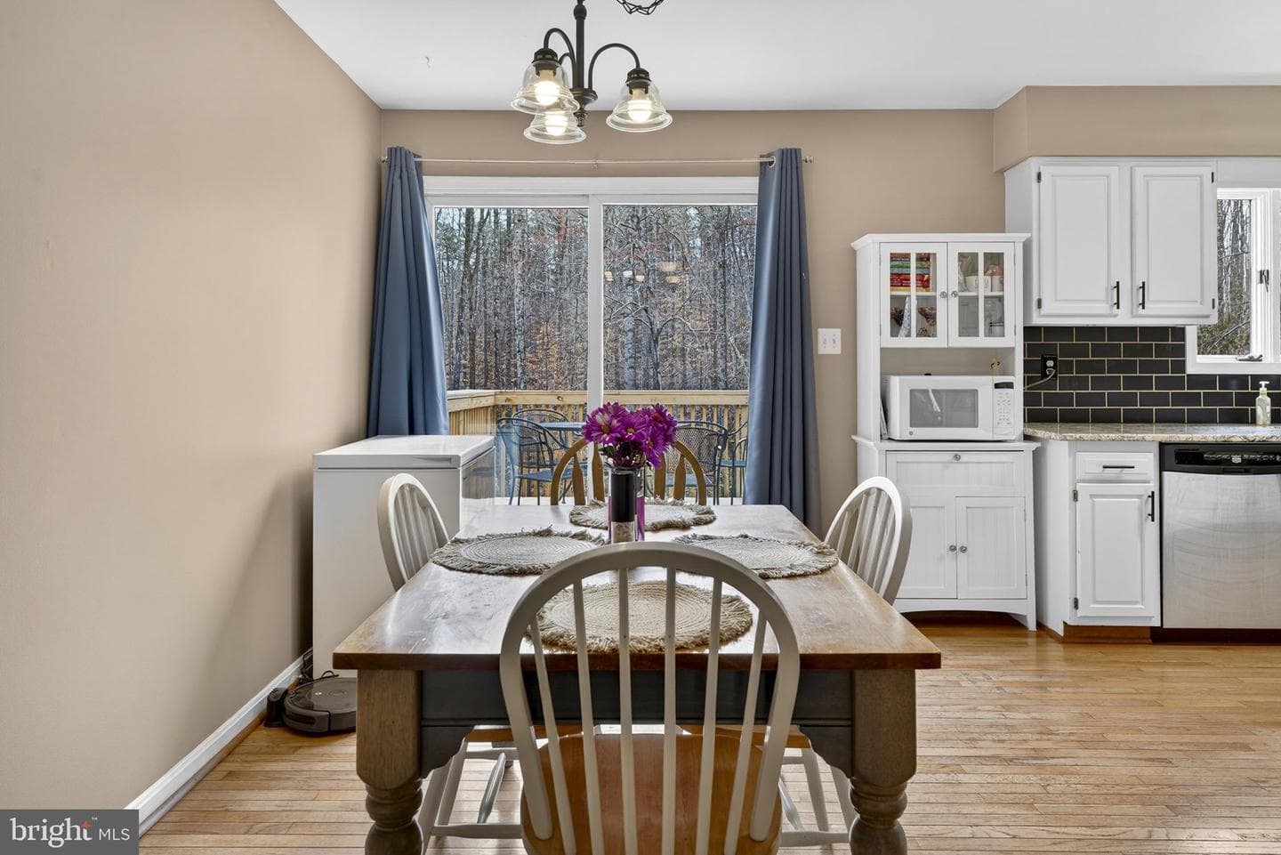 12660 Hazel River Road photo 18