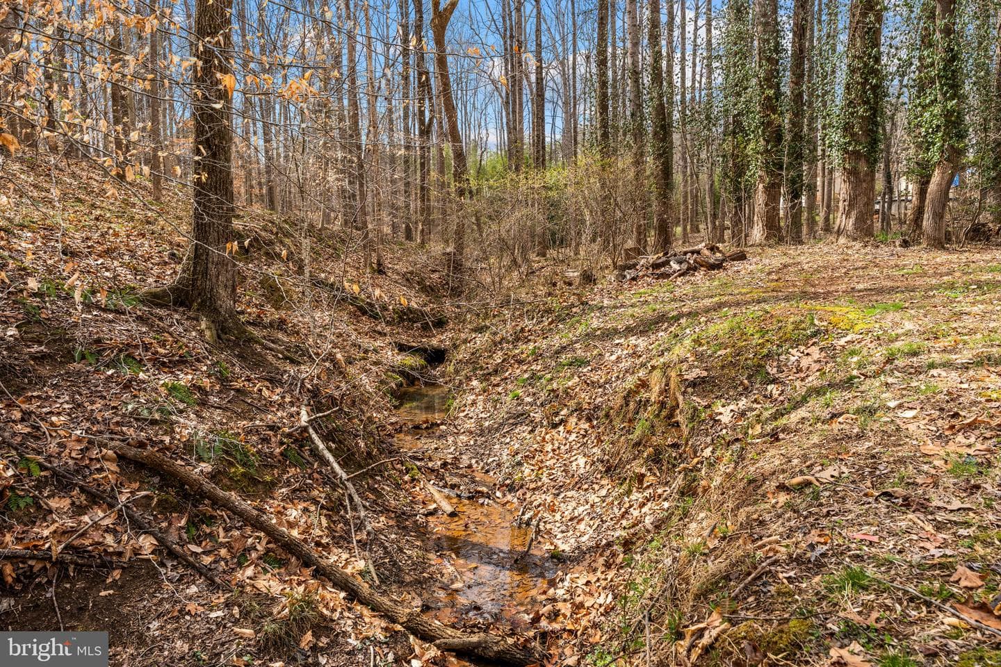 12660 Hazel River Road photo 41