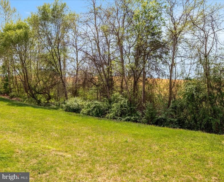 813 Kingsbrook Road photo 47